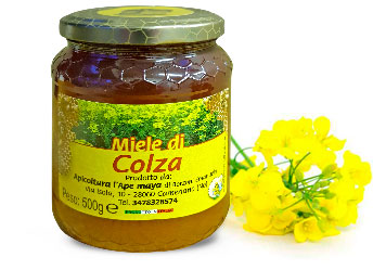 Miele di Colza