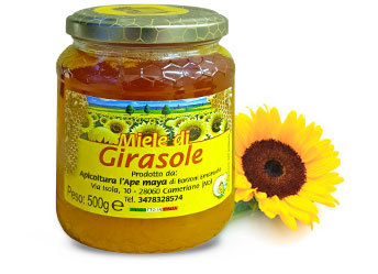 Miele di Girasole