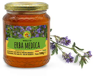 Miele di Erba medica